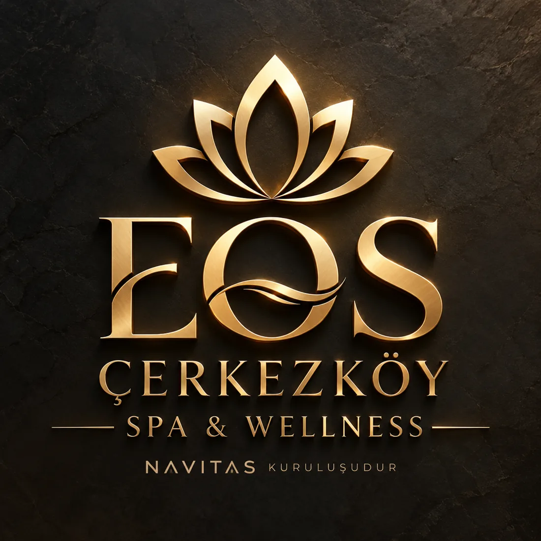 EOS Çerkezköy altın logo, Navitas kuruluşudur